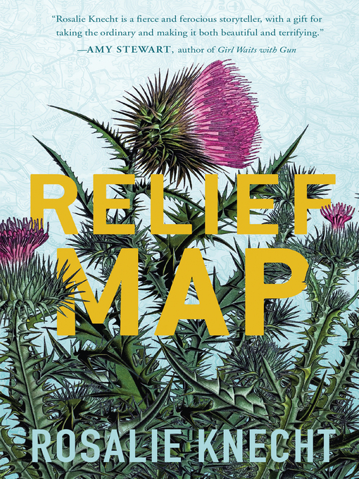 Title details for Relief Map by Rosalie Knecht - Wait list